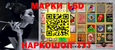 Альфа ПВП Пушкино