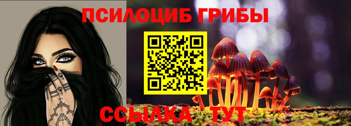 Псилоцибиновые грибы GOLDEN TEACHER  Вход с VPN  Нурлат  Галлюциногенные грибы GOLDEN TEACHER 